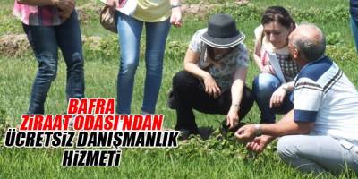 Bafra Zİraat Odasından Ücretsiz Danışmanlık Hizmeti