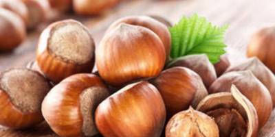 FINDIK 8 TL OLMADAN SATMAYACAKLAR