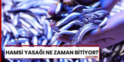 Hamsi yasağı ne zaman bitiyor?