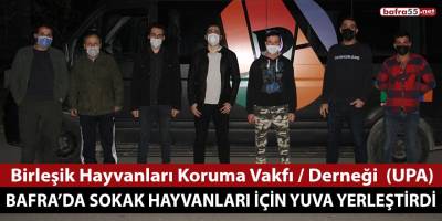 UPA Bafra’da sokak hayvanları için yuva yerleştirdi