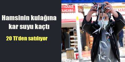 Hamsinin kulağına kar suyu kaçtı 20 Tl'den satışa sunuldu