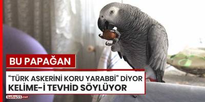 Bu papağan "Türk askerini koru Yarabbi diyor", Kelime-i Tevhid söylüyor