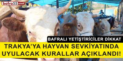 Trakya’ya hayvan sevkiyatında uyulacak kurallar açıklandı!