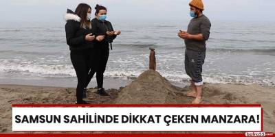 Samsun sahilinde dikkat çeken manzara!