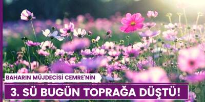 Son cemre toprağa düştü!