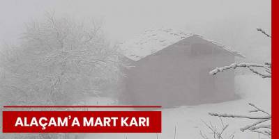Alaçam'a Mart Karı