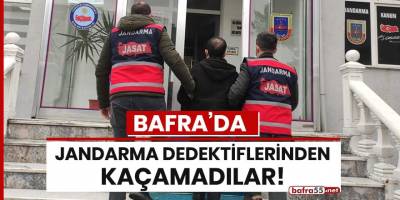 Bafra'da Jandarma dedektiflerinden kaçamadılar!