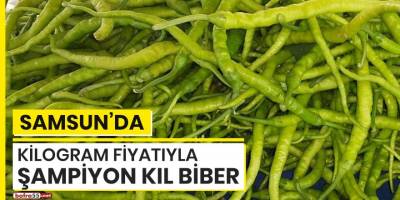 Samsun'da kilogram fiyatıyla şampiyon kıl biber