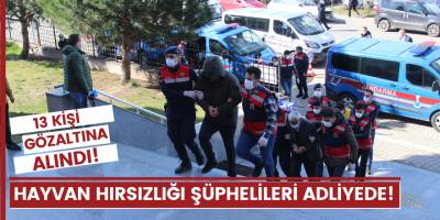 Hayvan hırsızlığı şüphelileri adliyede!