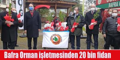 Bafra Orman işletmesinden 20 bin fidan