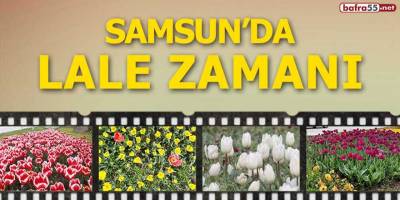 Samsun'da lale zamanı