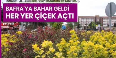 Bafra'ya bahar geldi, her yer çiçek açtı
