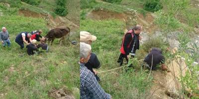 2 gün boyunca mahsur kalan hayvanları tfaiye kurtardı