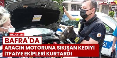 Bafra'da aracın motoruna sıkışan kediyi itfaiye ekipleri kurtardı