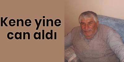 Kene yine can aldı