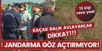 Jandarma kaçak balık avlayanlara göz açtırmıyor!