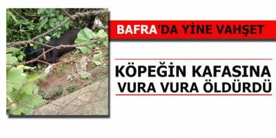 Köpeğin başına vura vura öldürdü