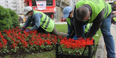 Sinop 40 bin çiçekle güzelleşiyor