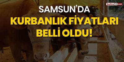 Samsun'da kurbanlık fiyatları belli oldu