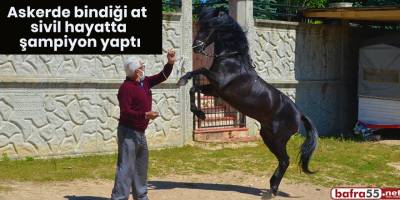 Askerde bindiği at, sivil hayatta şampiyon yaptı