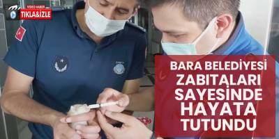 Bafra Zabıta personeli sayesinde hayata tutundu