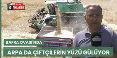 Bafra Ovası’nda arpa hasadı çiftçinin yüzünü güldürüyor