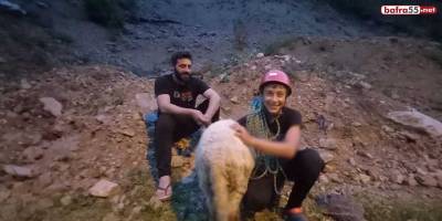Dedesinin kayalıklarda mahsur kalan koyununu dağcı torunu kurtardı
