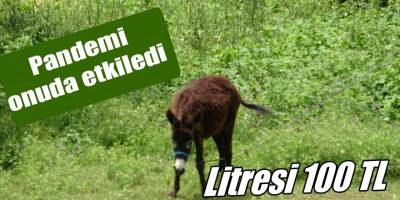 Eşek sütünün litresi 100 TL