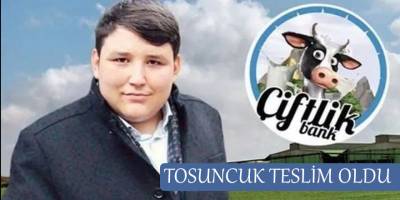 Tosuncuk Birezilya'da teslim oldu