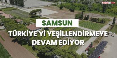 Samsun Türkiye'yi yeşillendirmeye devam ediyor