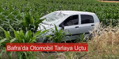 Kontrolden çıkan otomobil tarlaya uçtu