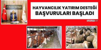 Hayvancılık yatırım desteği başvuruları başladı