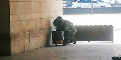 Samsun Adliyesinde  şüpheli çanta