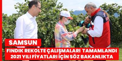 Samsun’un fındık rekolte çalışmaları tamam: Sonucu bakanlık açıklayacak
