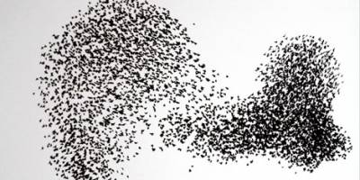 SAMSUN'DA GÖKYÜZÜNDE SIĞIRCIK ŞÖLENİ