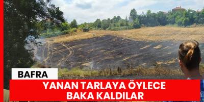 Ekin anızını yakayım derken tarlasını yaktı