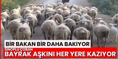 Sinop'ta Ay-yıldızlı sürü