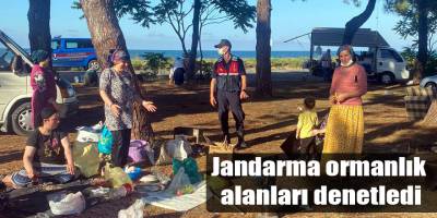 Jandarma ormanlık alanları denetledi