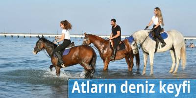Atların deniz keyfi