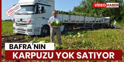 Bafra karpuzu tarlada alıcısını buluyor