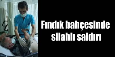 Fındık bahçesinde silahlı saldırı