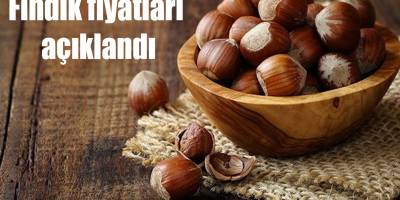 Fındık fiyatları açıklandı