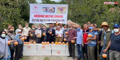 Akdeniz meyve sineğine karşı üreticilere kitlesel yakalama tuzağı