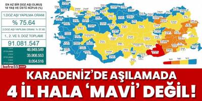 Karadeniz'de aşılamada 4 il hala 'mavi' değil!