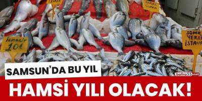 Samsun'da bu yıl hamsi yılı olacak!