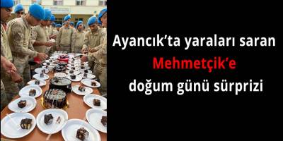 Ayancık’ta yaraları saran Mehmetçik’e doğum günü sürprizi