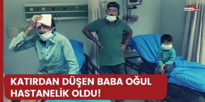 Katırdan düşen baba oğul hastanelik oldu