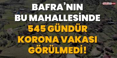 Bafra'nın bu mahallesinde 545 gündür korona vakası görülmedi
