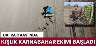 Karnabahar İç piyasadan sonra dış piyasaya da açılmaya başladı