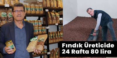 Fındık Üreticide 24 Rafta 80 lira